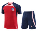 Kit Treino Atletico de Madrid 23-24 l