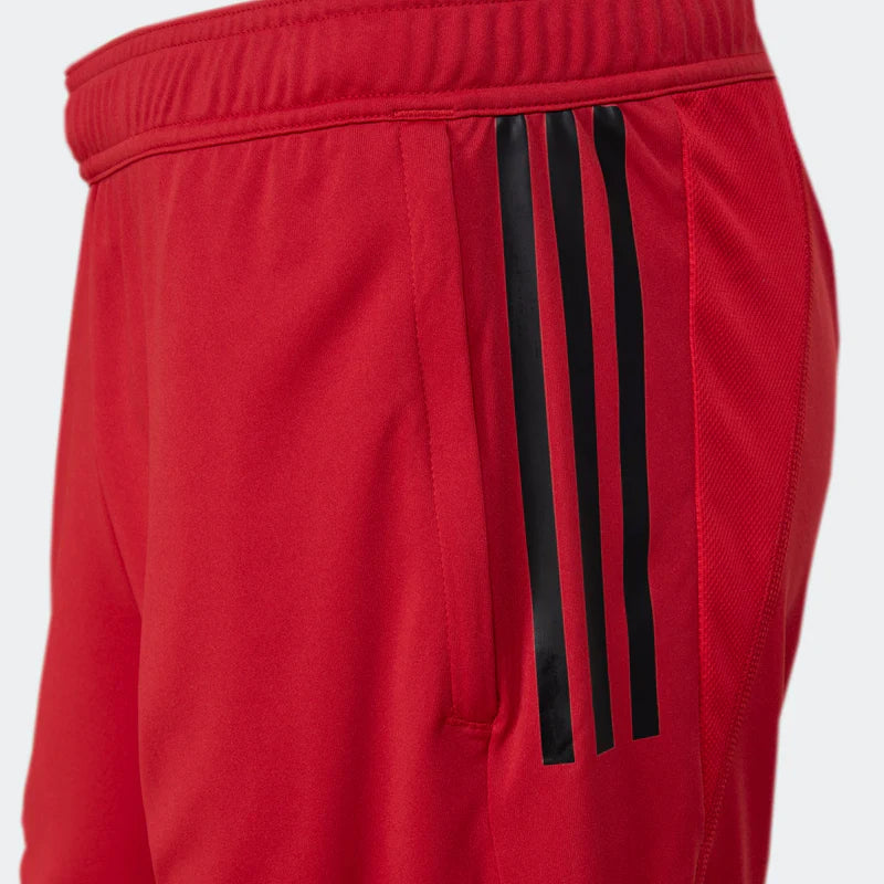 Shorts Flamengo 2023/24 Training